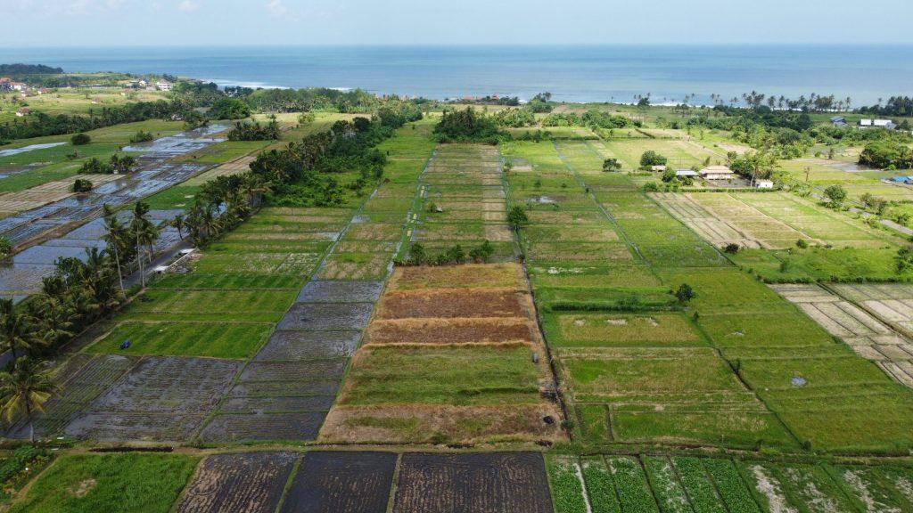 DJI 0060 Scaled 1024x576