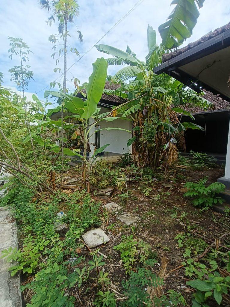 whatsapp image 2025 05 14 at 22.19.33