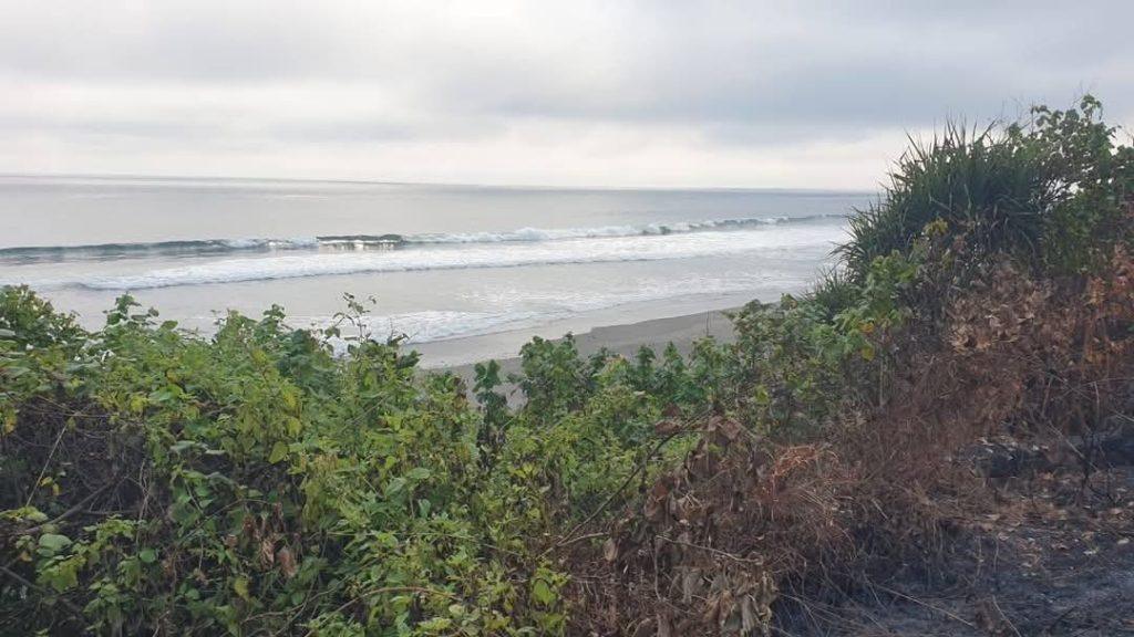 whatsapp image 2025 05 14 at 22.26.05 (2)