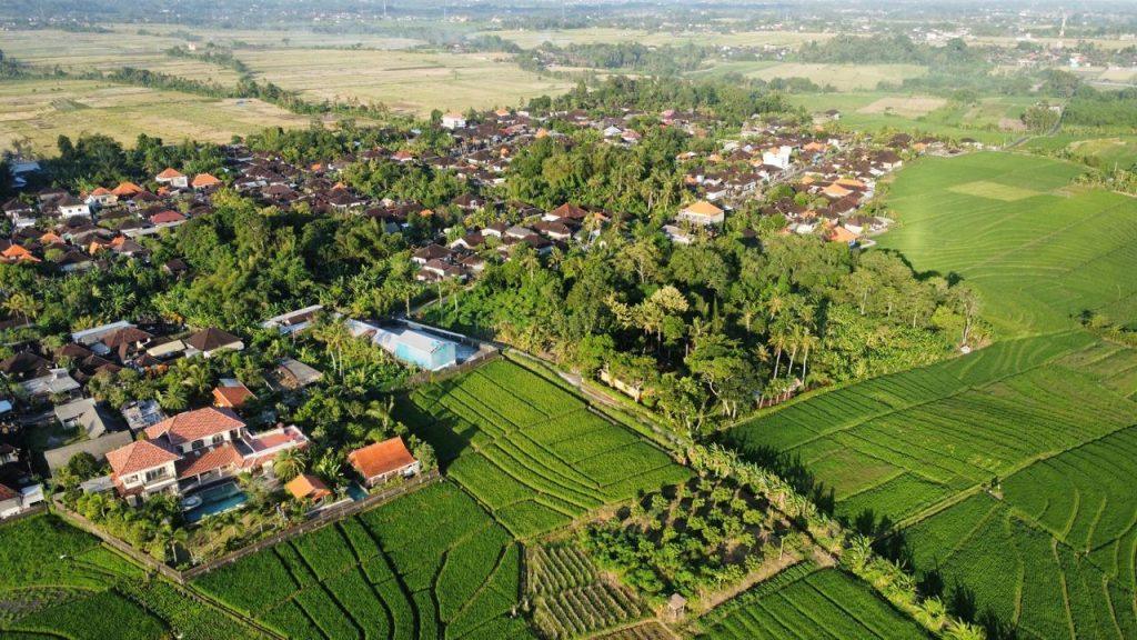 whatsapp image 2025 05 14 at 23.30.34 d6b6126d