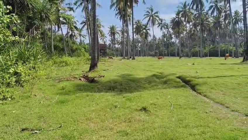 whatsapp image 2025 06 01 at 21.40.45