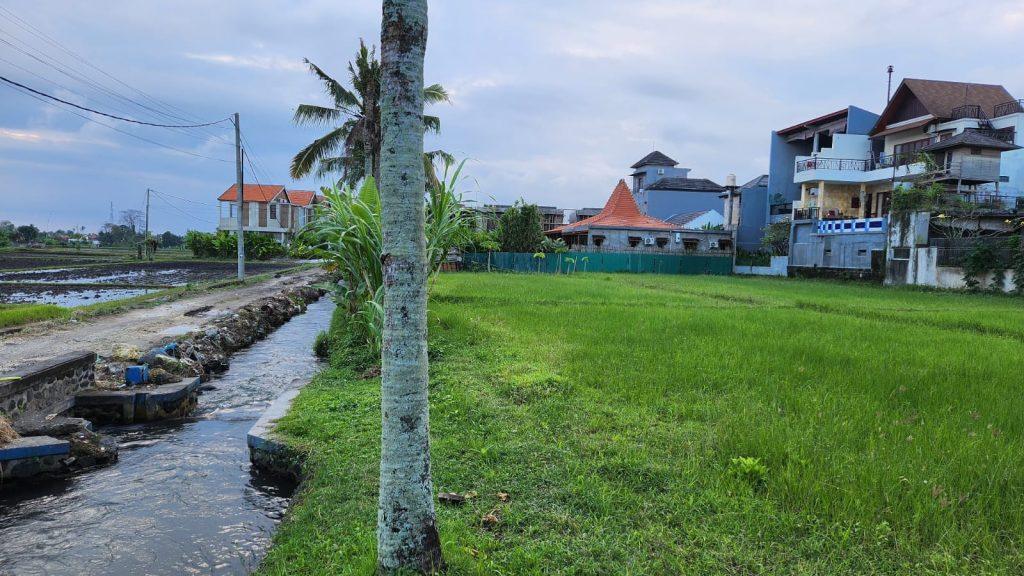 whatsapp image 2025 07 14 at 19.07.09