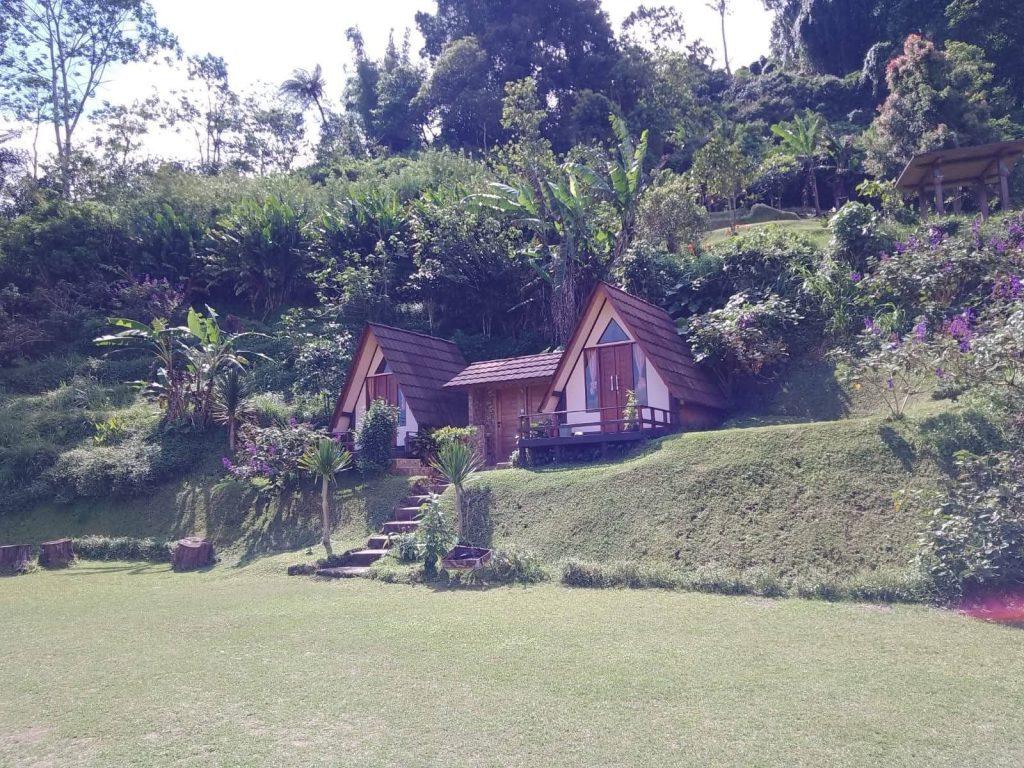 whatsapp image 2025 07 18 at 07.34.26 (2)