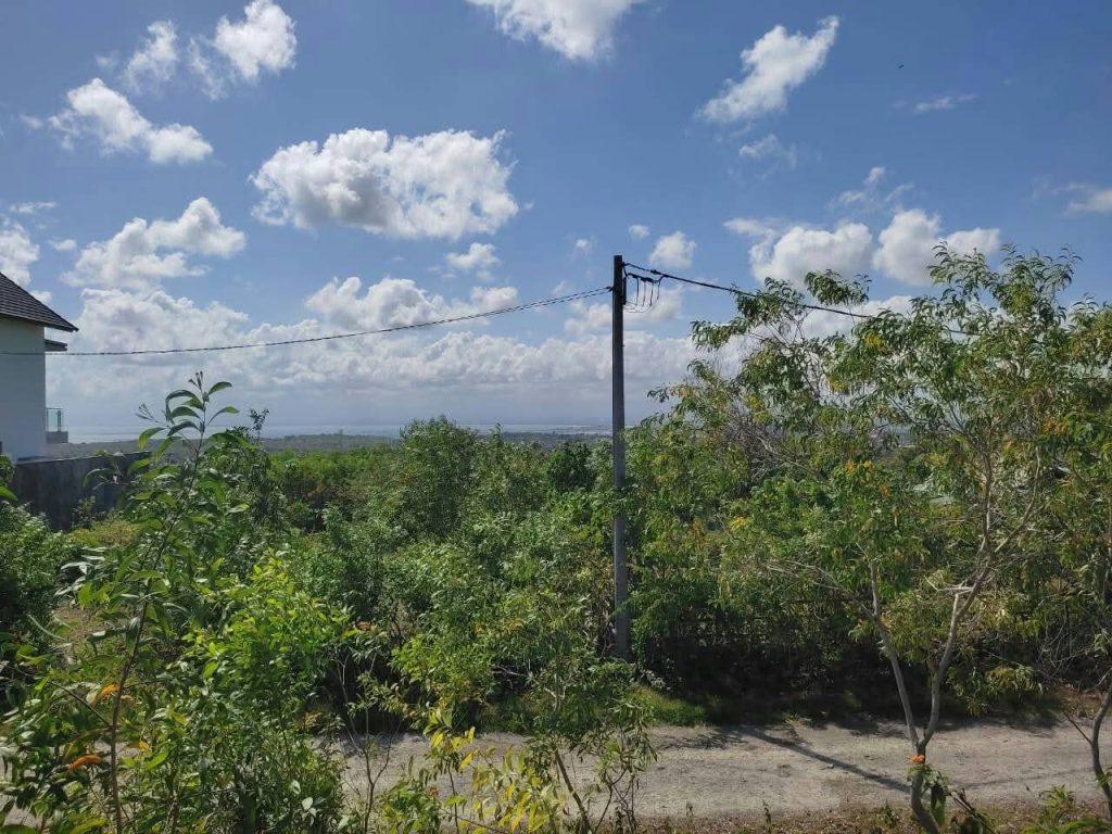 whatsapp image 2025 07 18 at 07.34.46