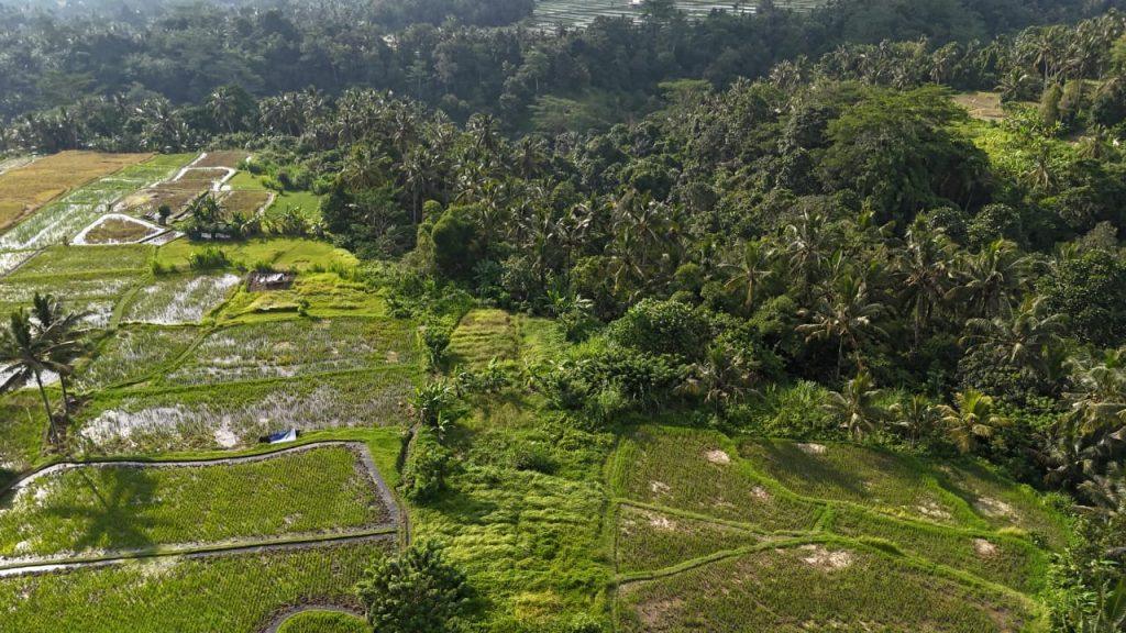 whatsapp image 2025 07 21 at 07.40.19