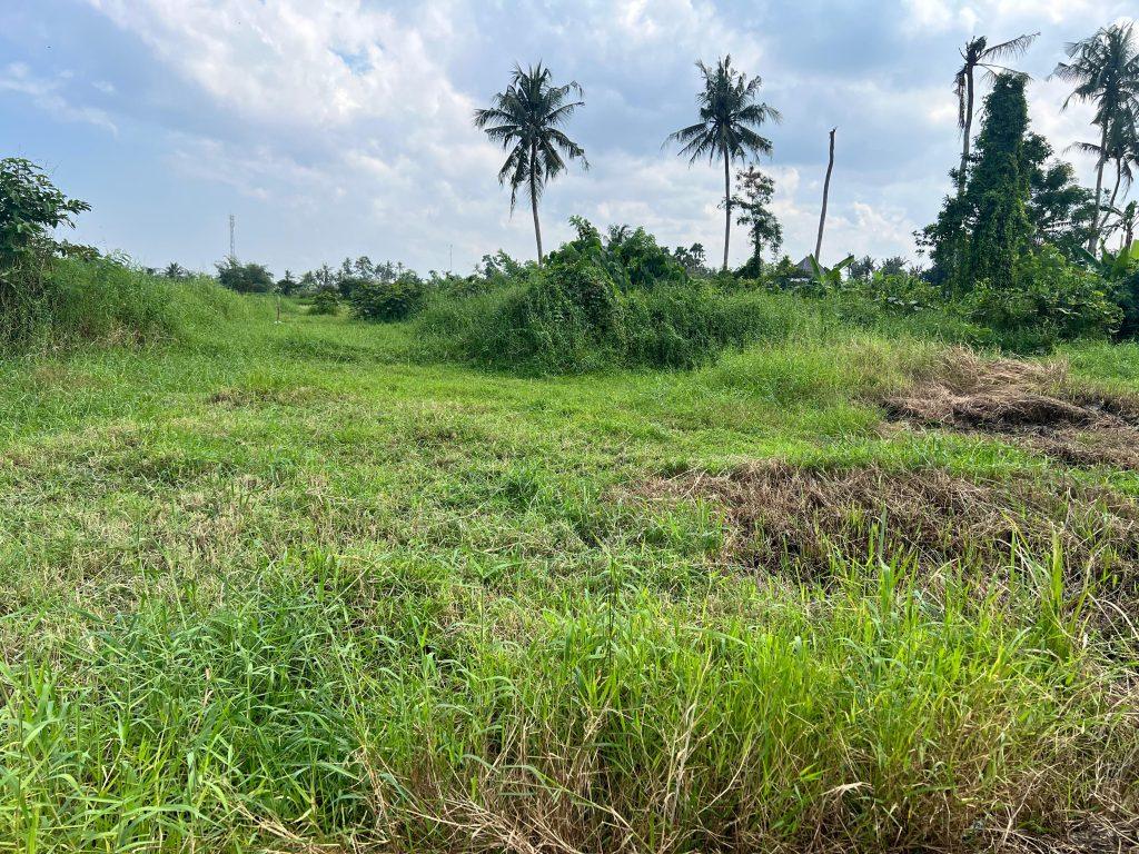 whatsapp image 2025 07 22 at 15.26.55