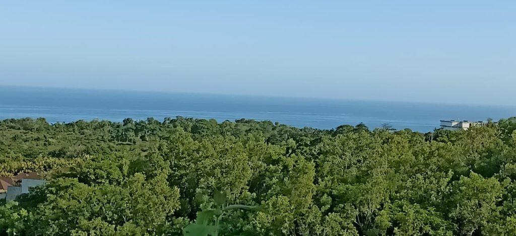 whatsapp image 2025 07 23 at 21.01.02