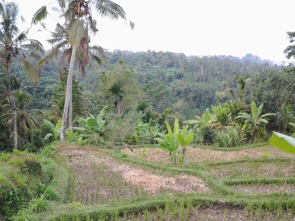 whatsapp image 2025 07 23 at 21.01.37 (2)