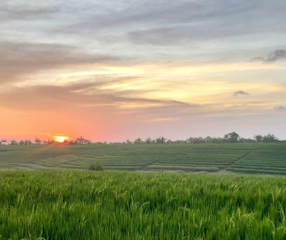 whatsapp image 2025 07 23 at 21.01.55