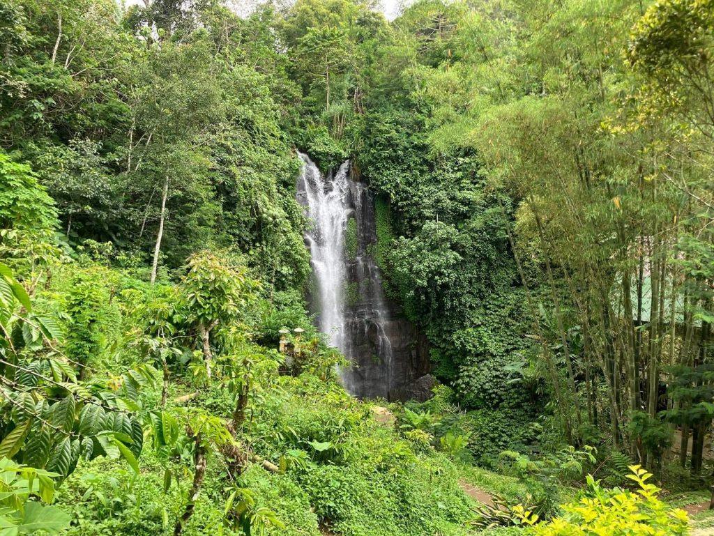 whatsapp image 2025 07 23 at 21.09.34 (2)