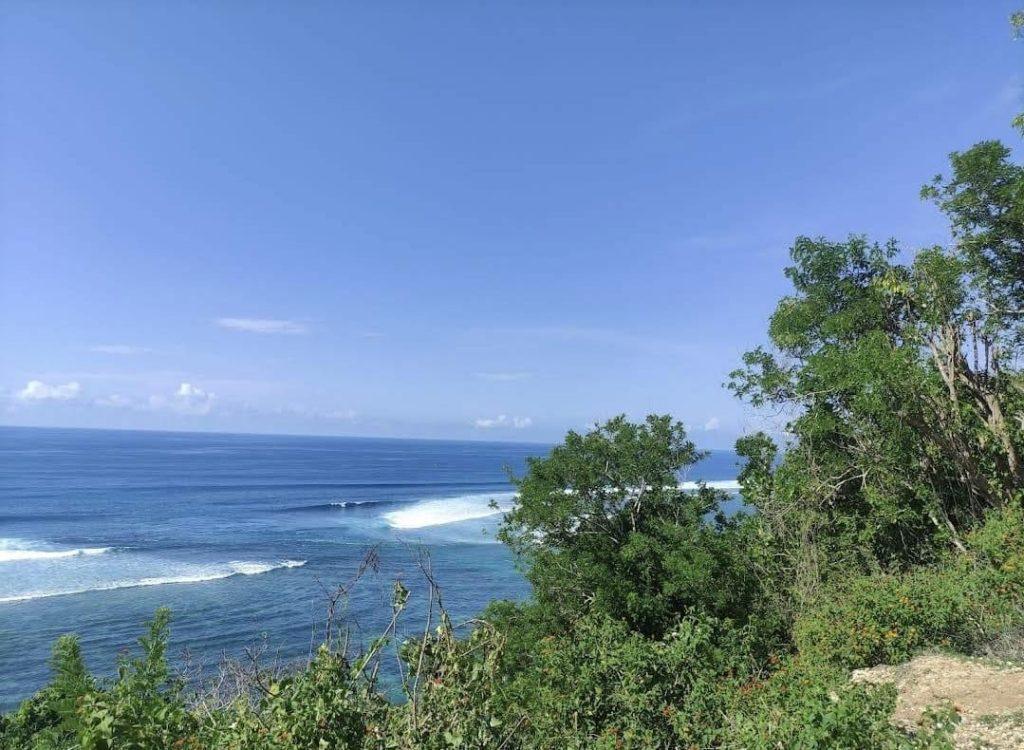 whatsapp image 2025 07 23 at 21.14.17 (1)