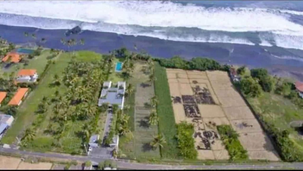 whatsapp image 2025 10 21 at 08.41.32