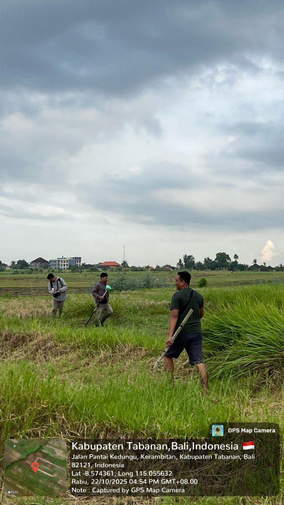 whatsapp image 2025 10 22 at 17.36.38 (1)