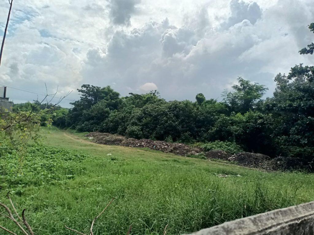 whatsapp image 2025 05 19 at 21.15.14