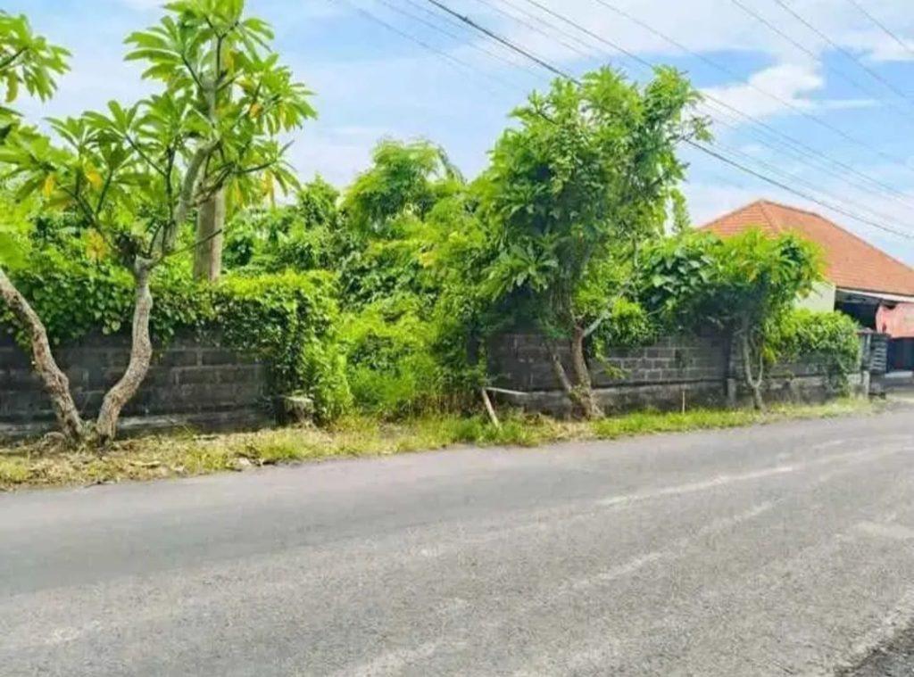 whatsapp image 2025 10 15 at 16.10.20