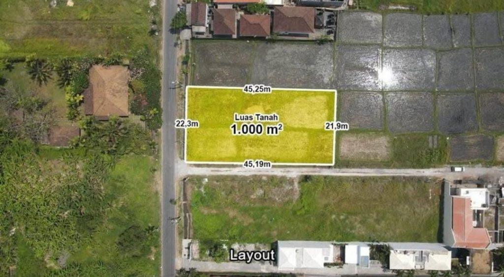 whatsapp image 2025 11 05 at 15.57.01