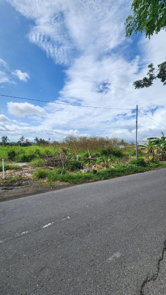 whatsapp image 2025 11 05 at 16.09.51 (1)