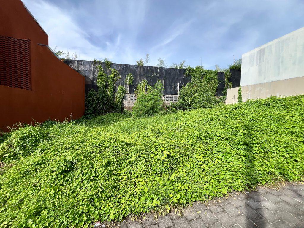 whatsapp image 2025 11 26 at 20.12.36 (2)