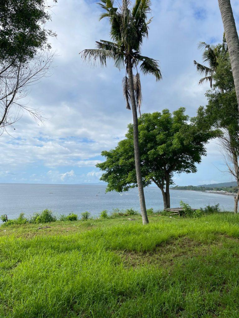 whatsapp image 2025 11 07 at 21.23.11