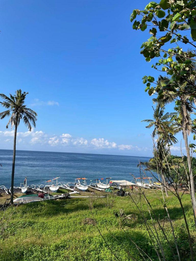 whatsapp image 2025 11 07 at 21.32.56 (1)